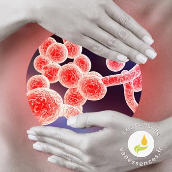 Quel remède naturel utiliser pour traiter une brûlure d’estomac ? Quel remède naturel utiliser pour traiter une brûlure d’estomac ?